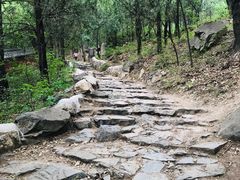 -阳台山自然风景区