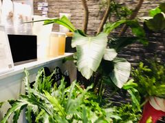 -茶理宜世(花城汇中区店)