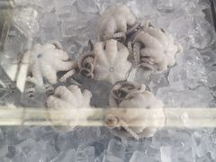 -铭聚章鱼土笋冻(松柏店)