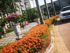 -美视五月花高尔夫度假酒店(滨海西店)