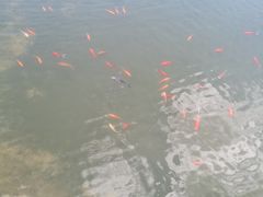 -古田会议纪念馆