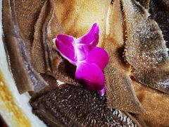 -谭鸭血老火锅(漳州路店)