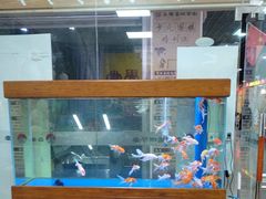 -弈海围棋学堂(夕照寺校区)