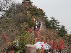 -老君山风景名胜区
