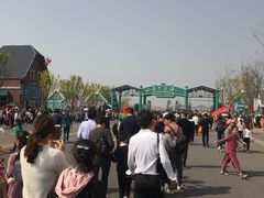 -荷兰花海