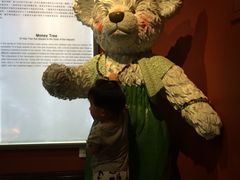 -成都泰迪熊博物馆