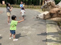 -贵州森林野生动物园