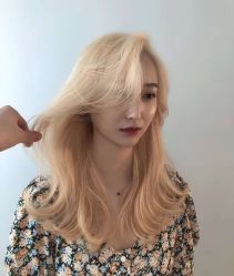 -爱维丽