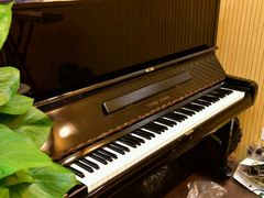 -乐童乐人现代音乐艺术学校(万柳校区)