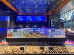 -青蓬蒸汽海鲜·深圳老字号·团建聚会(壹方城店)