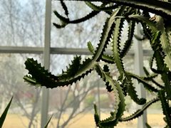 -郑州植物园