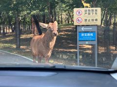 -秦皇岛野生动物园