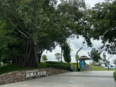 -深圳人才公园