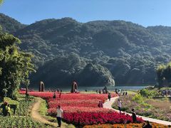 -广州市石门国家森林公园
