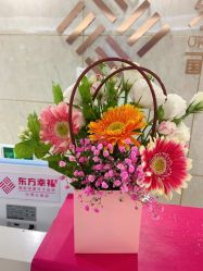 -东方幸福国际母婴月子会所(沙湾公园店)