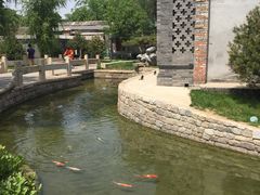 -春风习习
