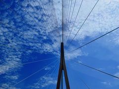 -迎春桥老炉烧饼(碧霞路店)