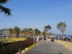 -大梅沙海滨公园