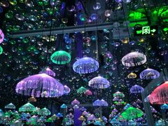 -星空失恋博物馆(北京路旗舰店)