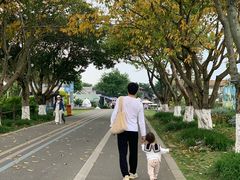 -空港花田景区
