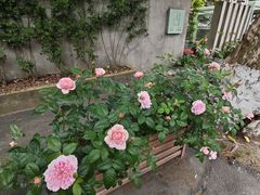 -莫干山风景区