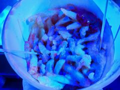 -M2 PLUS CLUB(滨海北路店)