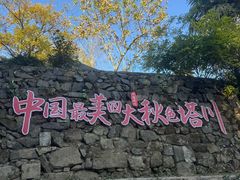 -塔川景区