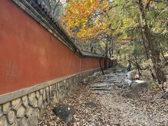-阳台山自然风景区