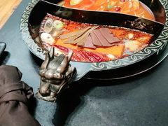 -渝大龙重庆火锅(温泉月亮湾店)