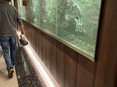 -上海小南国(金桥国际广场店)