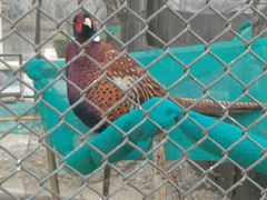 -陕西自然博物馆