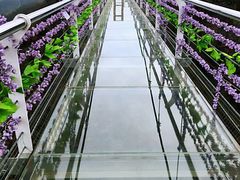 -燕子河大峡谷天坑仙境