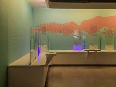 -白鹤梁水下博物馆