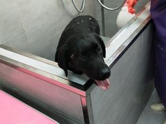 -宠福鑫康馨动物医院·骨科·眼科