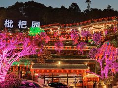-枇杷园食为鲜火锅(南山店)