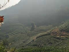 -午潮山国家森林公园