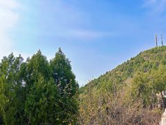 -府君山公园