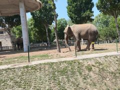 -石家庄市动物园