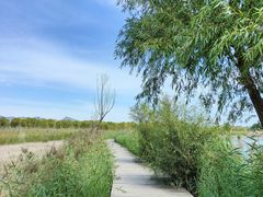 -野鸭湖国家湿地公园