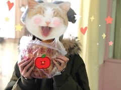 -中关村茶点