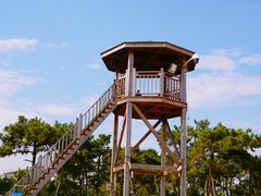 -日照灯塔风景区