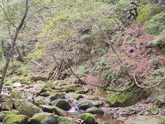 -本溪汤沟绿石谷森林公园
