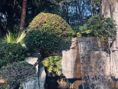 -广州市流溪河国家森林公园