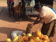 -尼甘布海鲜市场