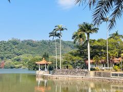 -深圳仙湖植物园