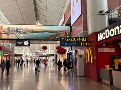 -麦当劳(桃仙机场到达层店)