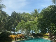 -日落吧·海景咖啡厅·餐酒吧·鸡尾酒·下午茶·乐队表演·浪漫夕阳·三亚文华东方酒店