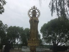 -洪湖生态旅游区