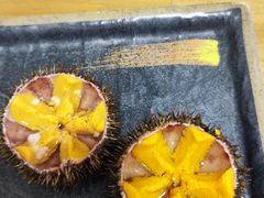 马粪海胆-海胆小馆(东北水饺·春柳店)