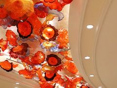 -南海渔村(珠江新城店)